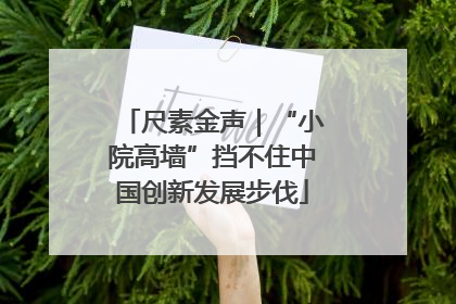 尺素金声｜“小院高墙”挡不住中国创新发展步伐