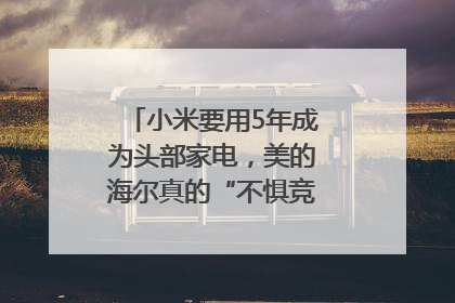 小米要用5年成为头部家电，美的海尔真的“不惧竞争”？｜热财经