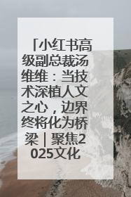 小红书高级副总裁汤维维：当技术深植人文之心，边界终将化为桥梁｜聚焦2025文化强国建设高峰论坛