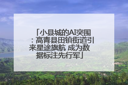 小县城的AI突围：高青县田镇街道引来星途旗航 成为数据标注先行军