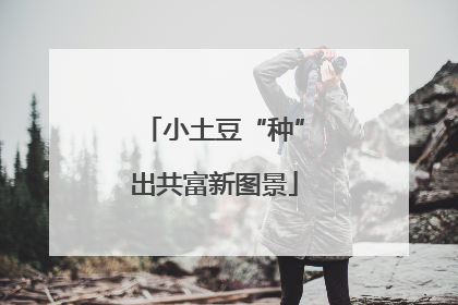 小土豆“种”出共富新图景