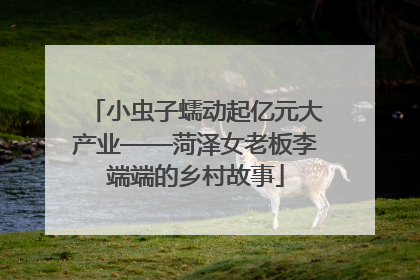 小虫子蠕动起亿元大产业——菏泽女老板李端端的乡村故事