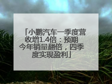 小鹏汽车一季度营收增1.4倍：预期今年销量翻倍，四季度实现盈利