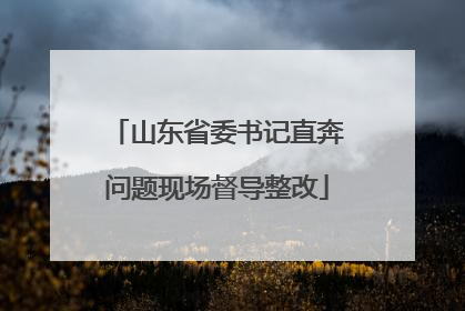 山东省委书记直奔问题现场督导整改