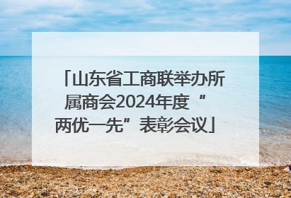 山东省工商联举办所属商会2024年度“两优一先”表彰会议