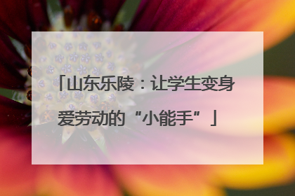 山东乐陵：让学生变身爱劳动的“小能手”