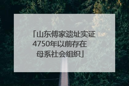 山东傅家遗址实证4750年以前存在母系社会组织