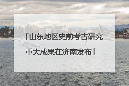 山东地区史前考古研究重大成果在济南发布