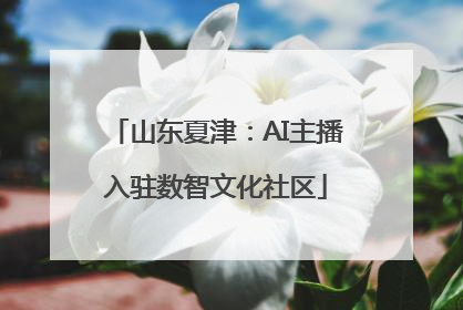 山东夏津：AI主播入驻数智文化社区
