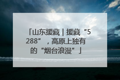 山东援藏｜援藏“5288”，高原上独有的“烟台浪漫”