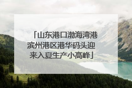 山东港口渤海湾港滨州港区港华码头迎来入夏生产小高峰