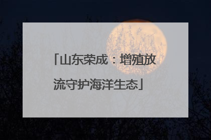 山东荣成：增殖放流守护海洋生态