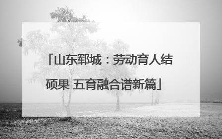 山东郓城：劳动育人结硕果 五育融合谱新篇