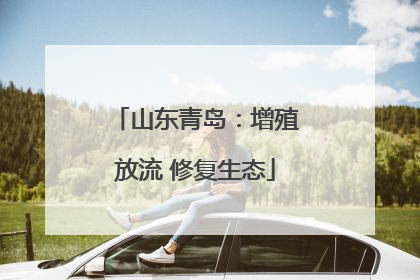 山东青岛：增殖放流 修复生态