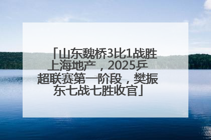 山东魏桥3比1战胜上海地产，2025乒超联赛第一阶段，樊振东七战七胜收官