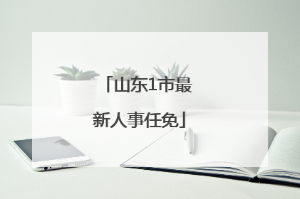 山东1市最新人事任免