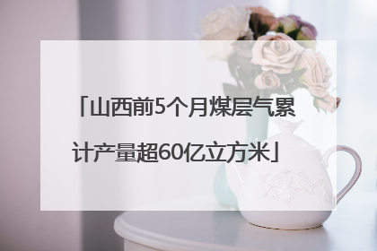 山西前5个月煤层气累计产量超60亿立方米