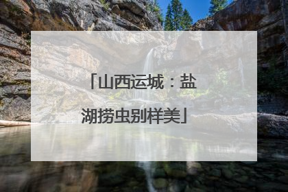 山西运城：盐湖捞虫别样美