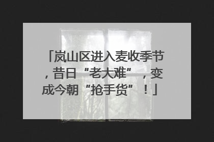 岚山区进入麦收季节，昔日“老大难”，变成今朝“抢手货”！
