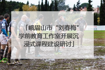 峨眉山市“刘春梅”学前教育工作室开展沉浸式课程建设研讨