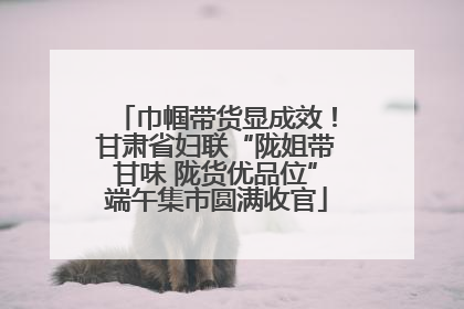 巾帼带货显成效！甘肃省妇联“陇姐带甘味 陇货优品位”端午集市圆满收官