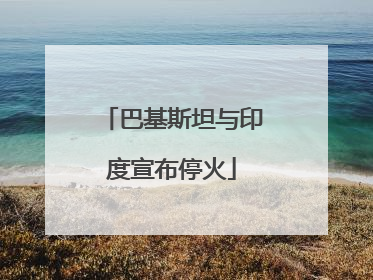 巴基斯坦与印度宣布停火