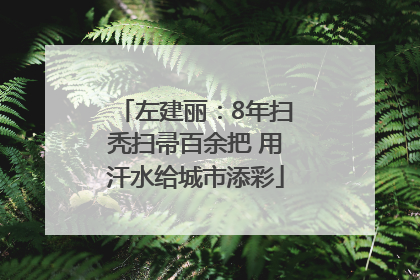 左建丽：8年扫秃扫帚百余把 用汗水给城市添彩