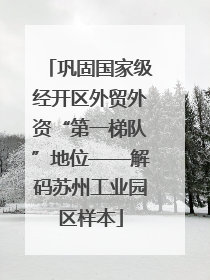 巩固国家级经开区外贸外资“第一梯队”地位——解码苏州工业园区样本