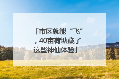 市区就能“飞”，40亩荷塘藏了这些神仙体验