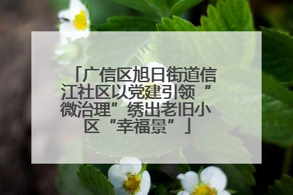 广信区旭日街道信江社区以党建引领“微治理”绣出老旧小区“幸福景”