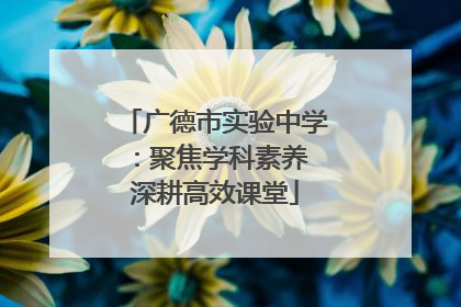 广德市实验中学：聚焦学科素养 深耕高效课堂