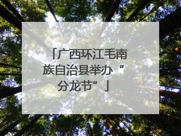 广西环江毛南族自治县举办“分龙节”