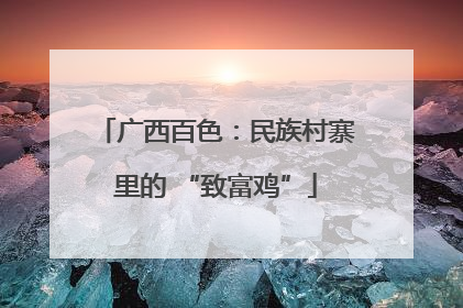 广西百色：民族村寨里的 “致富鸡”