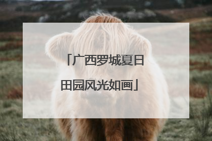 广西罗城夏日田园风光如画