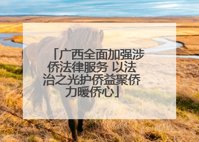广西全面加强涉侨法律服务 以法治之光护侨益聚侨力暖侨心