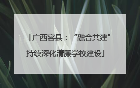 广西容县：“融合共建”持续深化清廉学校建设