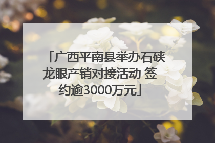 广西平南县举办石硖龙眼产销对接活动 签约逾3000万元