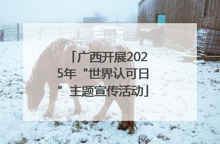 广西开展2025年“世界认可日”主题宣传活动
