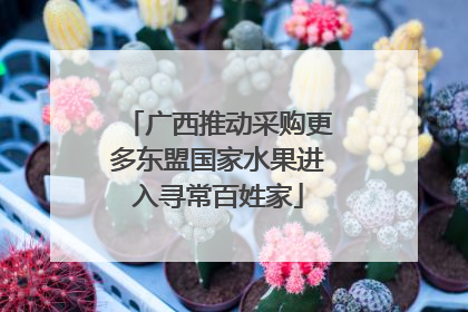 广西推动采购更多东盟国家水果进入寻常百姓家