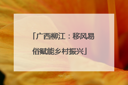 广西柳江：移风易俗赋能乡村振兴