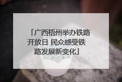 广西梧州举办铁路开放日 民众感受铁路发展新变化