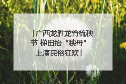 广西龙胜龙脊梳秧节 梯田抬“秧母”上演民俗狂欢