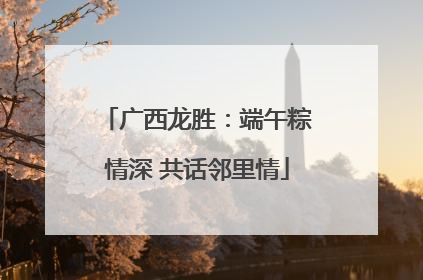 广西龙胜：端午粽情深 共话邻里情