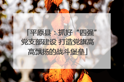 平原县：抓好“四强”党支部建设 打造党旗高高飘扬的战斗堡垒