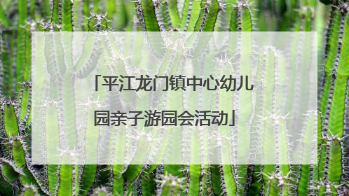 平江龙门镇中心幼儿园亲子游园会活动