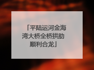 平陆运河金海湾大桥全桥拱肋顺利合龙