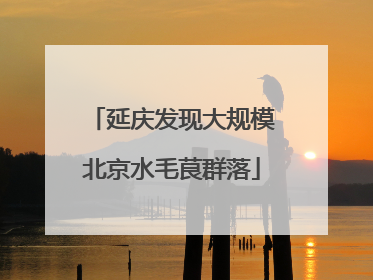 延庆发现大规模北京水毛茛群落