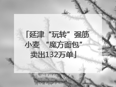 延津“玩转”强筋小麦 “魔方面包”卖出132万单