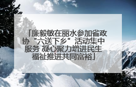 廉毅敏在丽水参加省政协“六送下乡”活动集中服务 凝心聚力增进民生福祉推进共同富裕