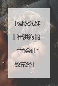 强农先锋丨崔洪海的“黄金叶”致富经